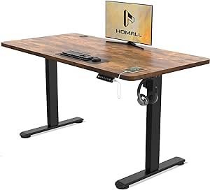 Homall Electric Standing Desk 120x60cm Height Adjustable Desk with USB Charging Sit Stand Desk with Time Reminder Stand up Desk 3 Memory Setting Electric Desk Wire Management Tray,Rustic Brown