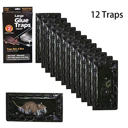 Sam4shine Mouse Glue Traps, Strong Adhesive Rat Glue Trap (6 Packs/12 Traps)