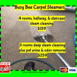 Busy Bee Carpet Steamers