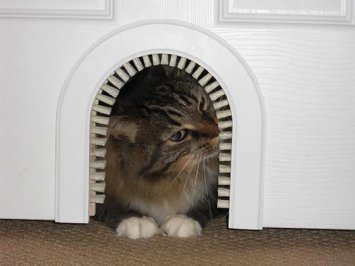 Cat Door - Cathole Interior Pet Door With Cleaning Brush
