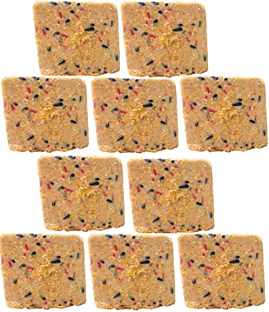 ST. ALBANS BAY SUET PLUS Suet Cake Variety Packs | 11 oz. Wild Bird Suet Cakes |
