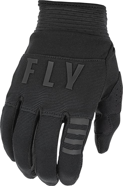 Fly Racing 2022 F-16 Gloves (Black, Large)