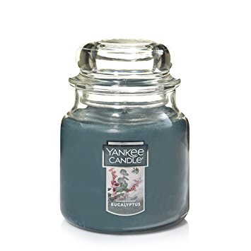 Yankee Candle Medium Jar Candle, Eucalyptus