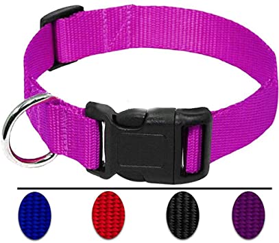 AEDILYS Adjustable Nylon Dog Collar Classic Solid Colors for Small Sized Dogs Neck, Multicolor