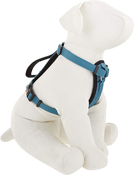 KONG Comfort Padded Chest Plate Dog Harness Offered by Barker Brands Inc.