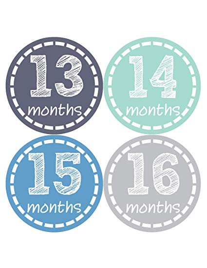 Baby Monthly Stickers | Monthly Milestone Stickers | Baby Month Stickers for Boy | Style 115 (Months 13-24)