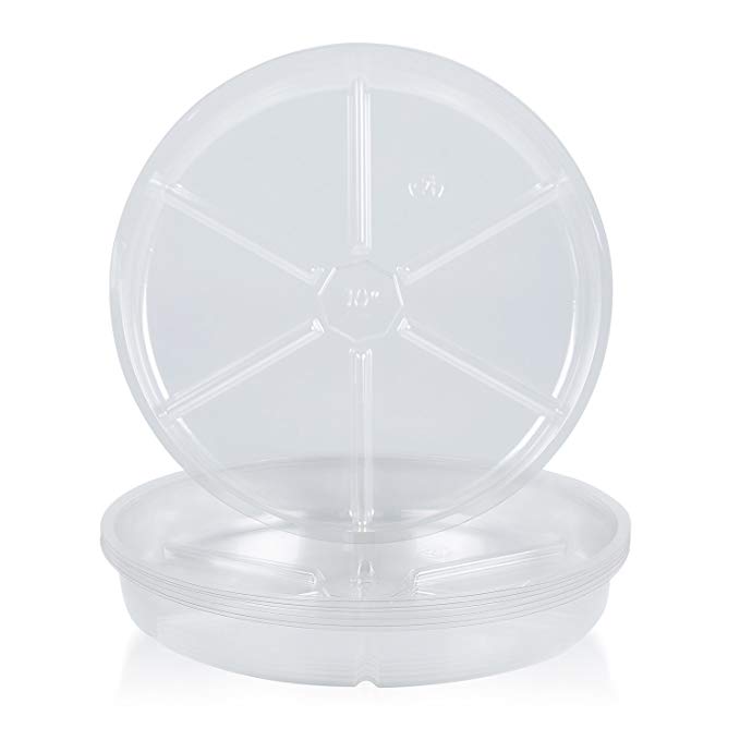 10 Pieces of 6 Inch Clear Plastic Plant Saucer Drip Trays for pots (6 inch)
