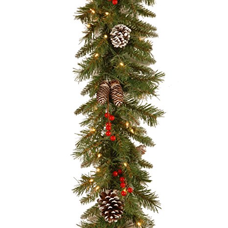 National Tree 9 Foot by 10 Inch Frosted Berry Garland with 100 Clear Lights (FRB-9GLO-1)