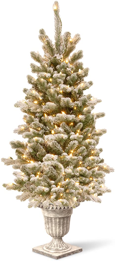 National Tree Pine 4 Foot Entrance Tree