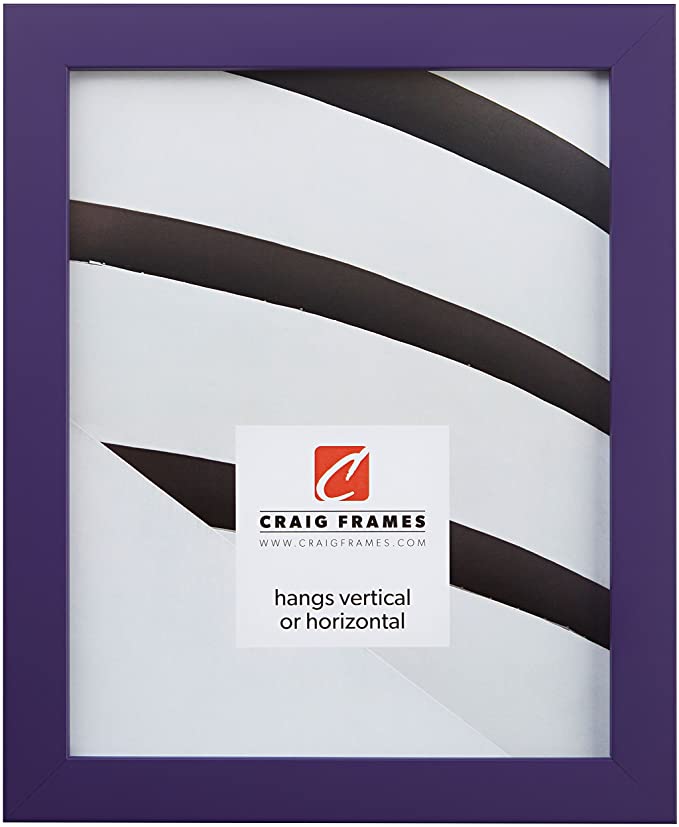 Craig Frames Confetti, Modern Purple Picture Frame, 4 x 6 Inch