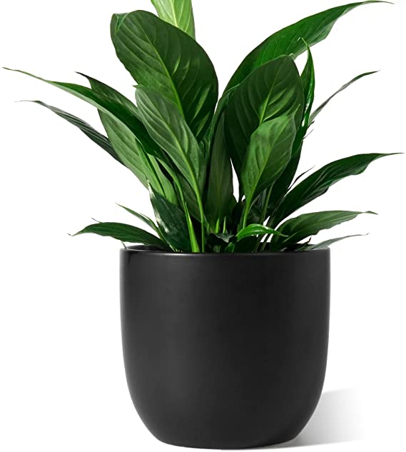 Ceramic Plant Pot - POTEY 7 Inch Modern Round Decorative Indoor Planter with Drainage Hole and Plug for All House Plants - 809, Black