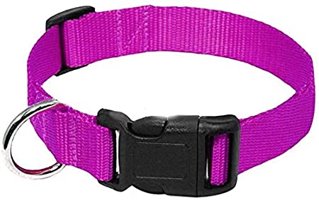 AEDILYS Adjustable Nylon Dog Collar Classic Solid Colors for Small Sized Dogs Neck, Multicolor