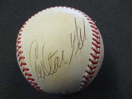 Signed Carlton Fisk Ball - Official American League - PSA/DNA Certified - Autographed Baseballs