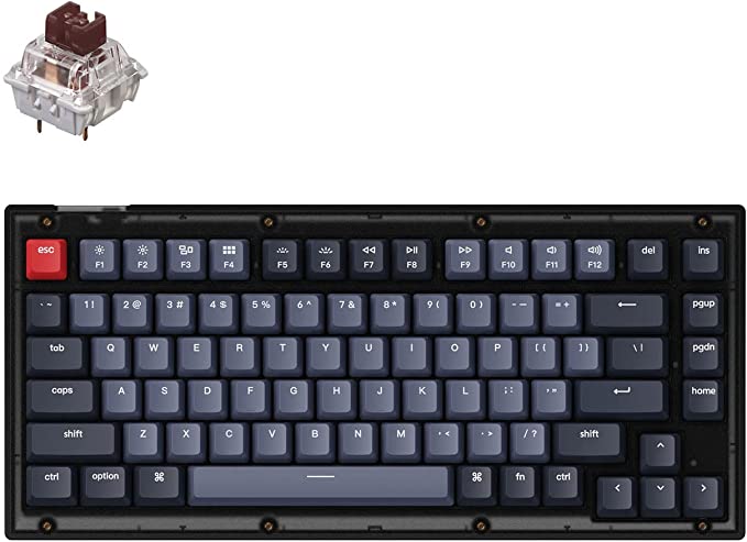 Keychron V1 Wired Custom Mechanical Keyboard, 75% Layout QMK/VIA Programmable Macro with Gateron G Pro Brown Switch Hot-swappable Support Compatible with Mac Windows Linux- Frosted Black Translucent