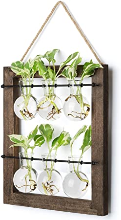 Mkono Double Layer Wall Hanging Glass Planter Propagation Station, Modern Novel Flower Buld Vase Plant Terrarium with Retro Wooden Stand for Hydroponics Plants Home Garden Office Decor-6 Bulb Vase