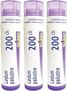 Boiron Ledum Palustre 200ck Homeopathic Medicine for Insect Bites or Bruising - 80 Count (Pack of 3)