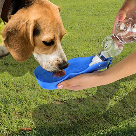 ONSON Dog Water Bottle - Portable Travel Dog Water Dispenser for Walking - Travel Dog Bowl for Dogs, Cats and Other Small Animals - Free Carabiner