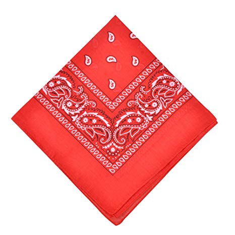 100% Cotton Bandanas, Alotpower Multipurpose Paisley Printing Cowboy Bandana Headbands Handkerchiefs Necktie