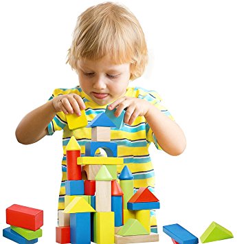 Deluxe Handcrafted Wooden Building Blocks Set - 50 Pieces - Includes Carrying Container - Hardwood Plain & Colored Stacking Wood Blocks for Boys & Girls - Educational Toy for Toddlers Preschool Age