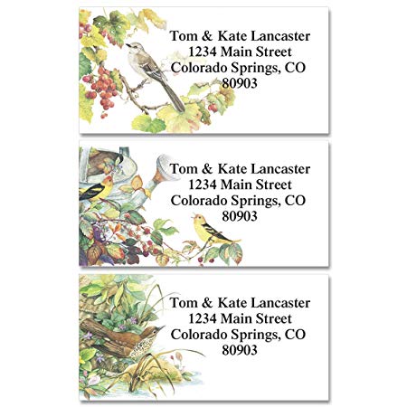 Songbirds Personalized Return Address Labels – Set of 144, Large, Self-Adhesive, Flat-Sheet Labels (6 Designs), By Colorful Images