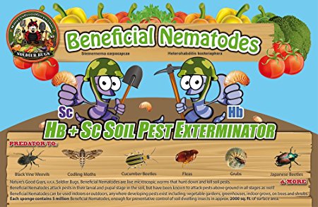 50 million Live Beneficial Nematodes Blend- Hb & Sc - Kills Over 200 Different Species of Soil Dwelling and Wood Boring Insects.