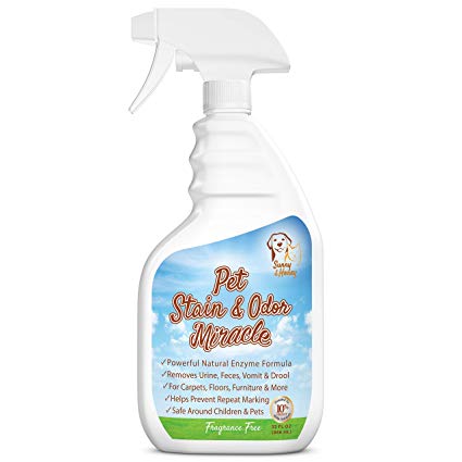 Pet Stain & Odor Miracle - Enzyme Cleaner for Dog and Cat Urine, Feces, Vomit, Drool (Fragrance Free, 32 FL OZ)