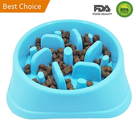 Slow Feeder Bowl Anti-Choke Fun Feeder Interactive Bloat Stop Bowl for Dogs Pets