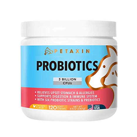 Petaxin Probiotics for Dogs - 6 Strains with Prebiotics - Supports Digestion and Immune System - Relieves Diarrhea, Upset Stomach, Allergies, Gas, Constipation, Bad Breath - Made in USA - 120 Chews