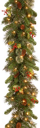 National Tree 9 Foot by 12 Inch Wintry Pine Garland with Red Berries, Cones and Snowflakes and 100 Clear Lights (WP1-300-9B-1)