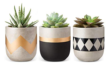 Mkono 4-Inch Cement Succulent Planter Modern Flower Pots Mini Planter Indoor for Cactus Herb or Small Plants, Set of 3