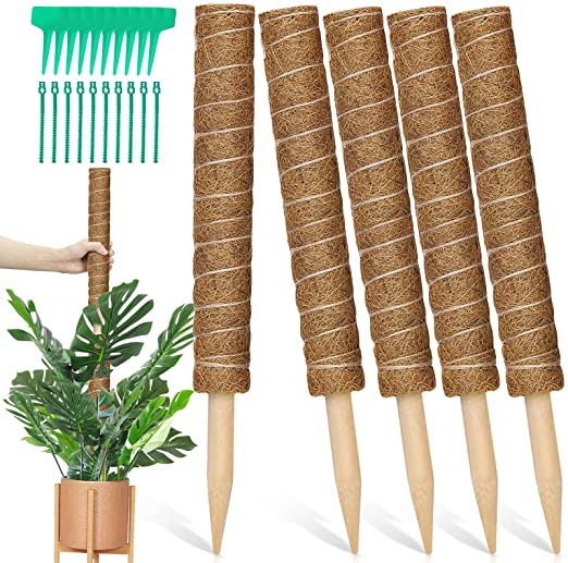 WhistenFla 5 Pcs Moss Poles for Climbing Plants, Total 62" Totem Pole Stick with 10 Pcs Adjustable Plant Twist Ties & Labels for Indoor Plants to Grow Upwards (16 Inches)