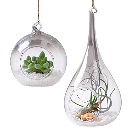 Mkono 2 Pack Glass Hanging Planter Terrarium Air Plant Holder Tealight Vase Hanger Home Decoration for Candles Succulent Moss Air Fern Tillandsias, Globe and Teardrop with Gray Plating Gradients