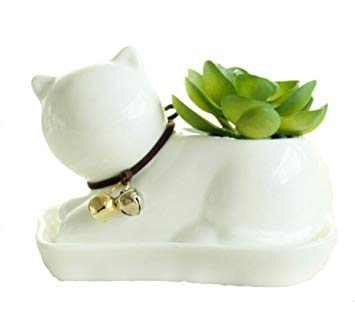 Small Lovely White Ceramic Succulent Plant Flower Pot with Tray, Modern Simple Style Neck with Bell - Cat