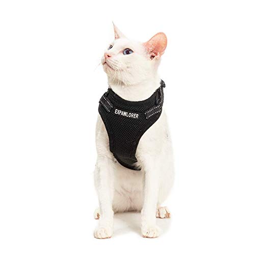 EXPAWLORER Escape Proof Cat Harness-Adjustable Light Comfortable Breathable Mesh Vest with Reflective Strap Black for Adult Cats and Puppies