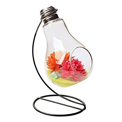 Mkono Light Bulb Glass Vase Plant Terrarium with Metal Stand