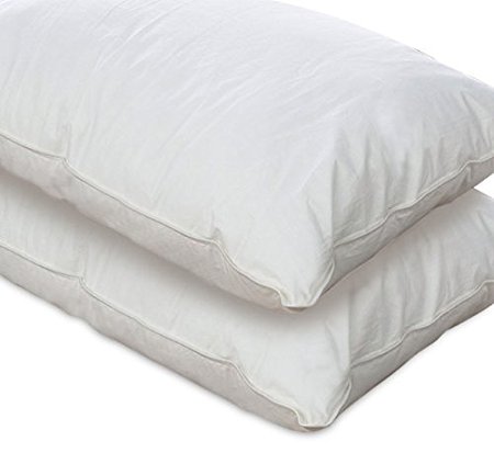 European Comfort 100% Hypoallergenic Slumber Down Alternative Bed Pillows, STANDARD Set of 2