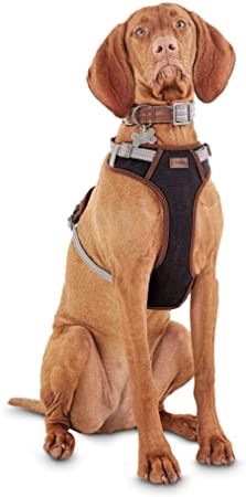Reddy Dog Harness