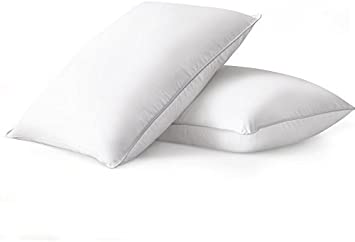 Luxuredown White Goose Down Pillow, Medium Firm (Standard Set of 2)