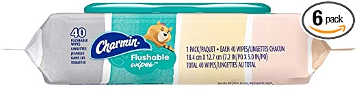 Charmin Freshmates Flushable Wipes with Refillable Tub (Pack of 6)