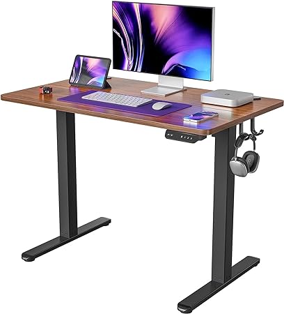 ErGear Height Adjustable Electric Standing Desk (55 * 28 Inch, Espresso)