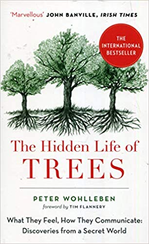 The Hidden Life of Trees: The International Bestseller - What They Feel, How They Communicate