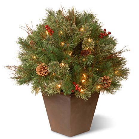 National Tree 24 Inch Glistening Pine Porch Bush with Red Berries, Cones and 50 Clear Lights in Decorative Pot (GN19-24TLO)