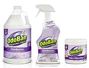 OdoBan Disinfectant Odor Eliminator and All Purpose Cleaner with Solid Odor Absorber for Home and Small Spaces, Lavender Scent