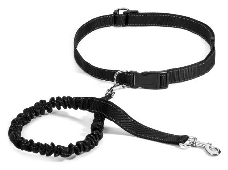 Hands Free Dog Leash - Dog Running Leash - Shock Absorbing, Extendible Bungee - Adjustable Waist Belt - Recommended for Running, Jogging or Walking - 90 Day Peace of Mind Guarantee