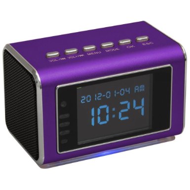 Motion activated TOP Secret Spy camera with invisible IR lights, automatic IR, constant record and battery backup power 6-8 hours by Online-Enterprises (Purple)