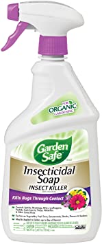 Garden Safe Brand Insecticidal Soap Insect Killer, Ready-to-Use, 24-Ounce, 6-Pack