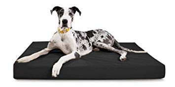 K9 Ballistics Tough Rectangle Orthopedic Dog Bed - Washable, Durable and Waterproof Dog Beds - Made for Small, Medium, XL & XXL Dogs