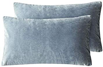 PHF Velvet Throw Pillow Covers Rectangle Lumbar 2-Pack 12" x 20" Home Decorative for Sofa, Couch, Bed, Car Blue Greyish