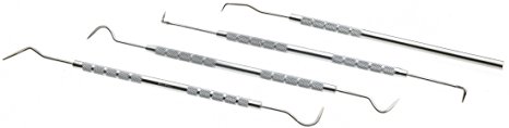 Woodstock D3228 Dental Pick Set, 4-Piece