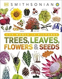 Our World in Pictures: Trees, Leaves, Flowers & Seeds: A visual encyclopedia of the plant kingdom